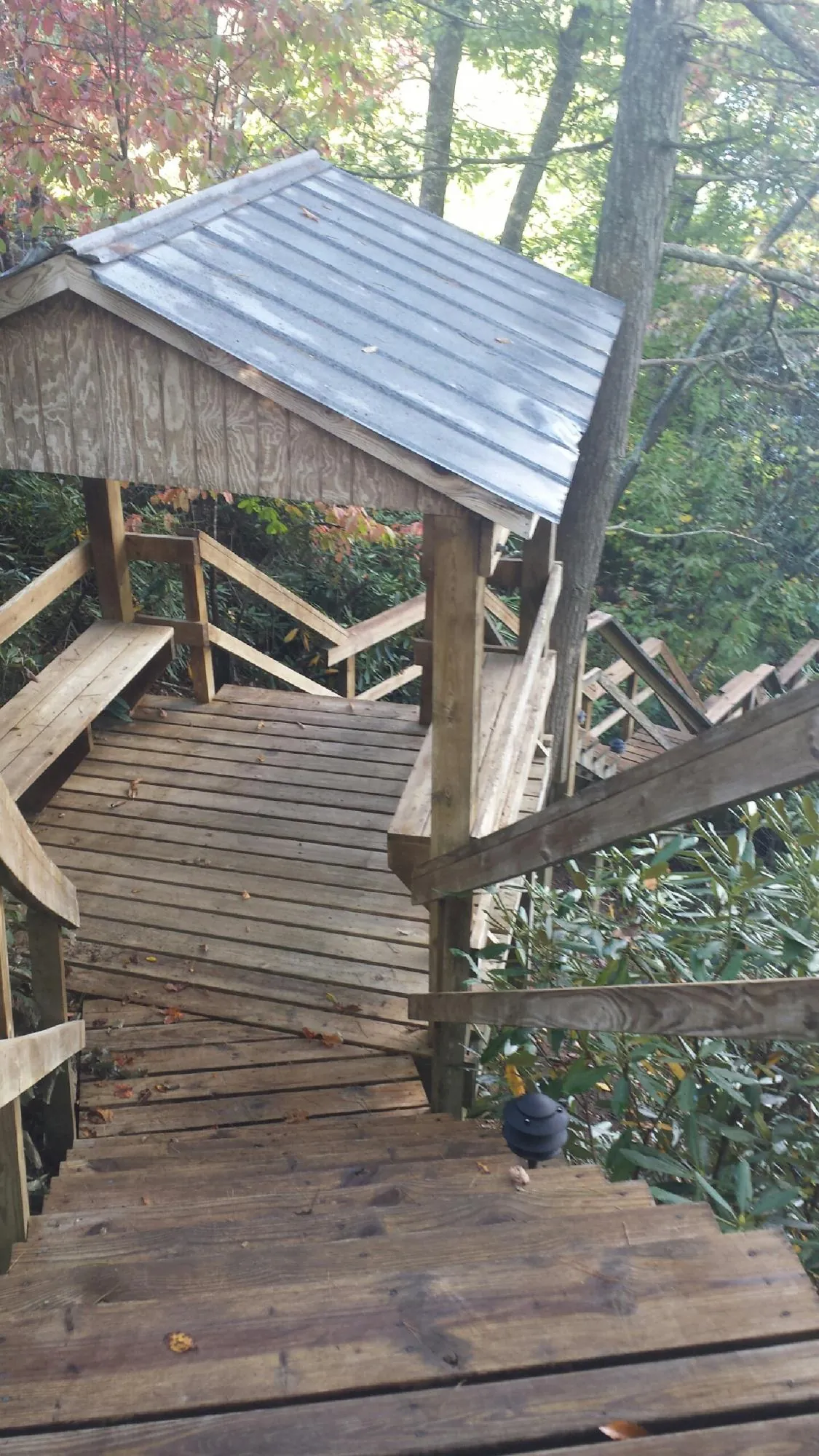 Metal roofed shelter over wooden steps on a wooded walkway — Skylight Repair & Installation work by our crew in Meldrim